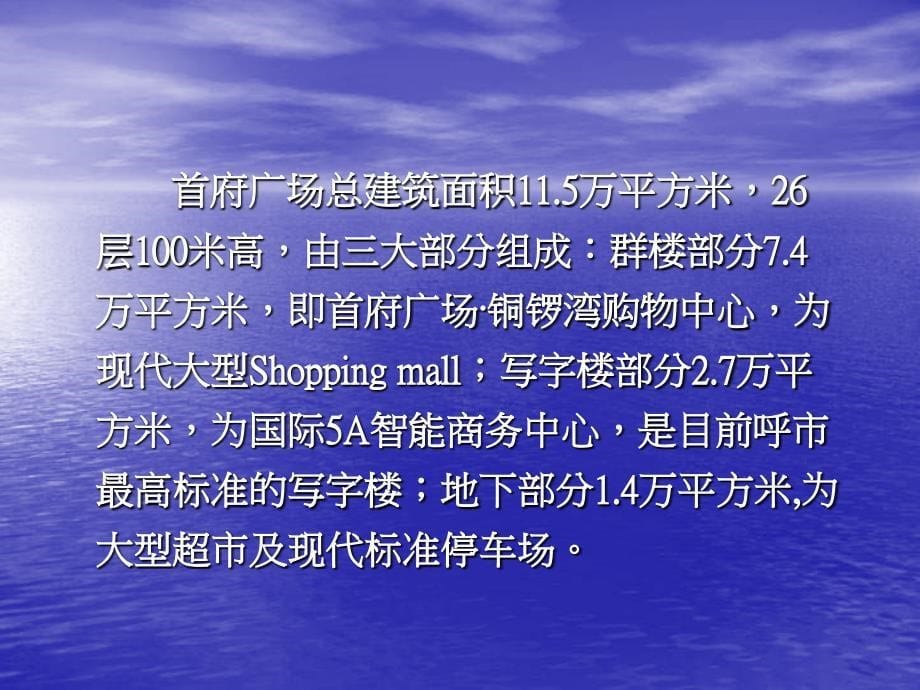 呼和浩特首府广场商业项目分析报告50页_第5页