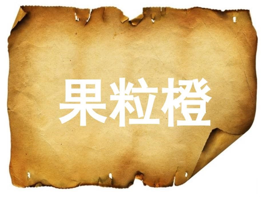 [PPT模板]新年活动联欢猜词比赛ppt词库——羊皮卷版_第5页