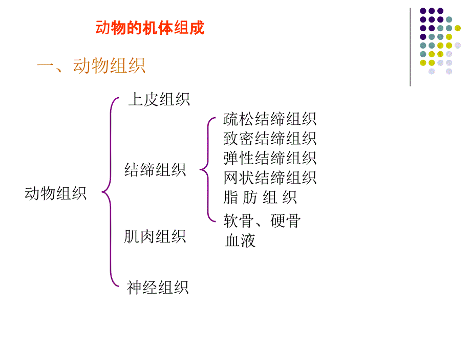 组织器官和系统PPT课件_第3页