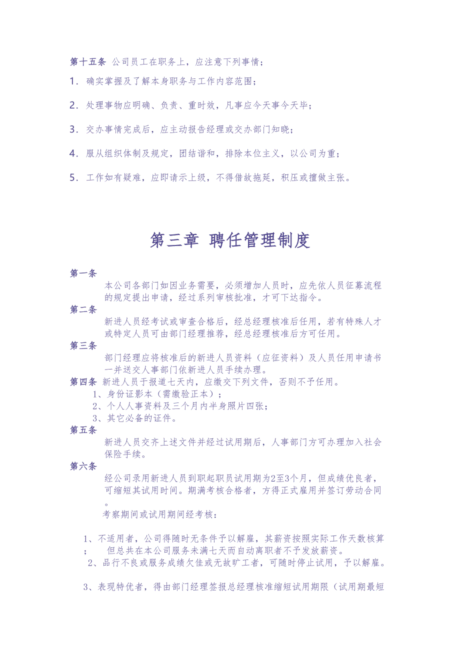 14-公司规章制度模板全套（天选打工人）.docx_第2页