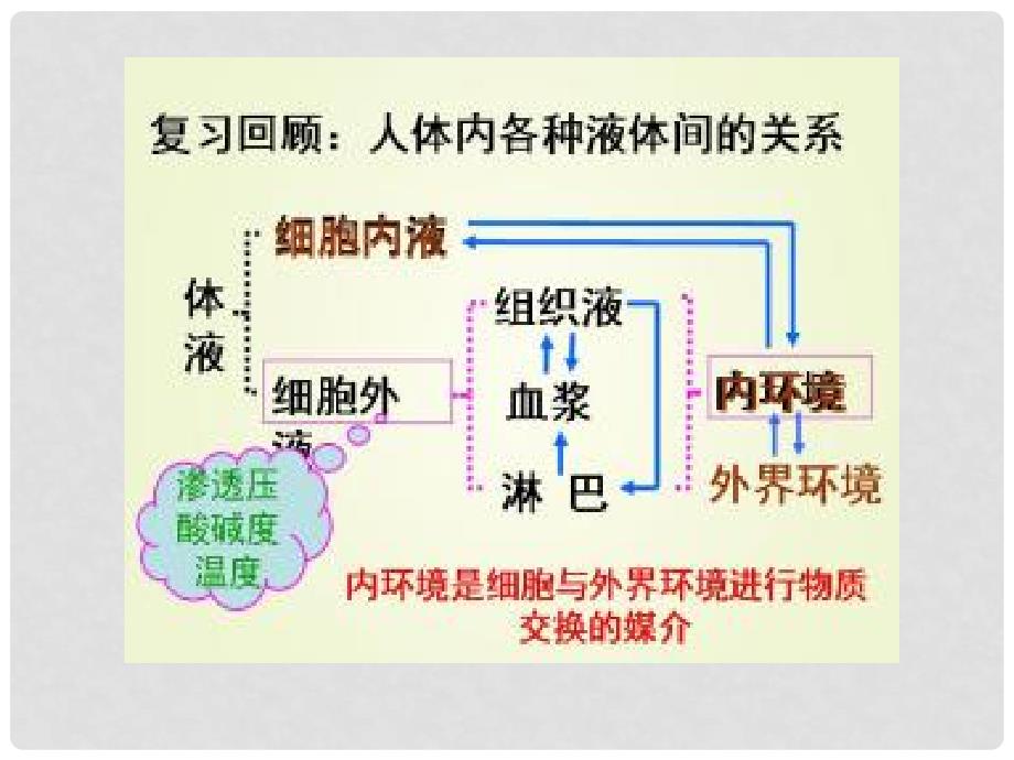 高中生物 第一章 人体的内环境与稳态 1.2 内环境稳态的重要性课件2 新人教版必修3_第2页