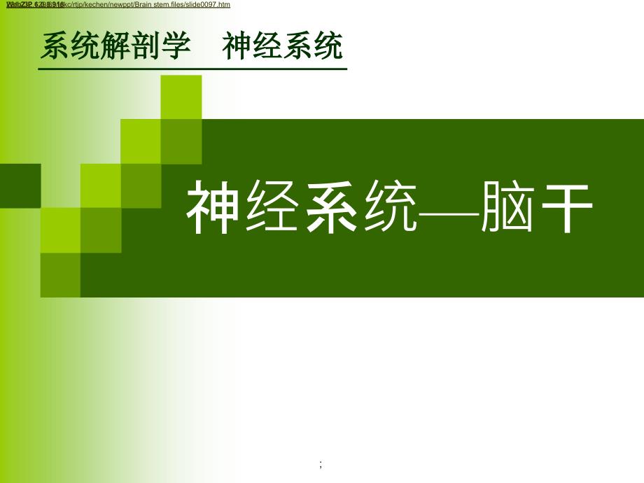 神经系统脑干人体解剖学系统解剖学ppt课件_第1页