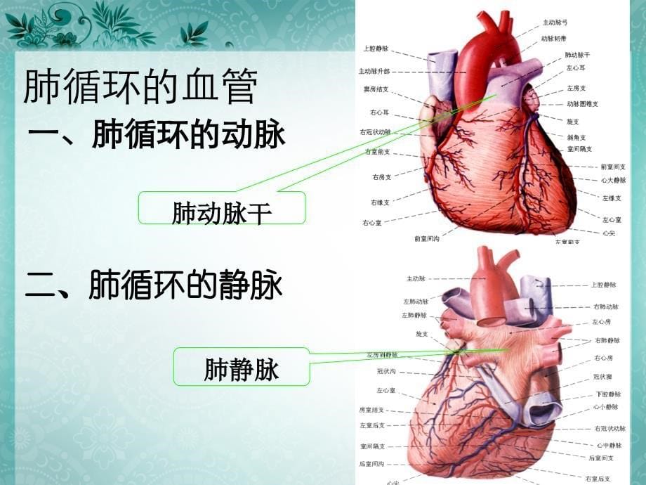 实验二动脉_第5页