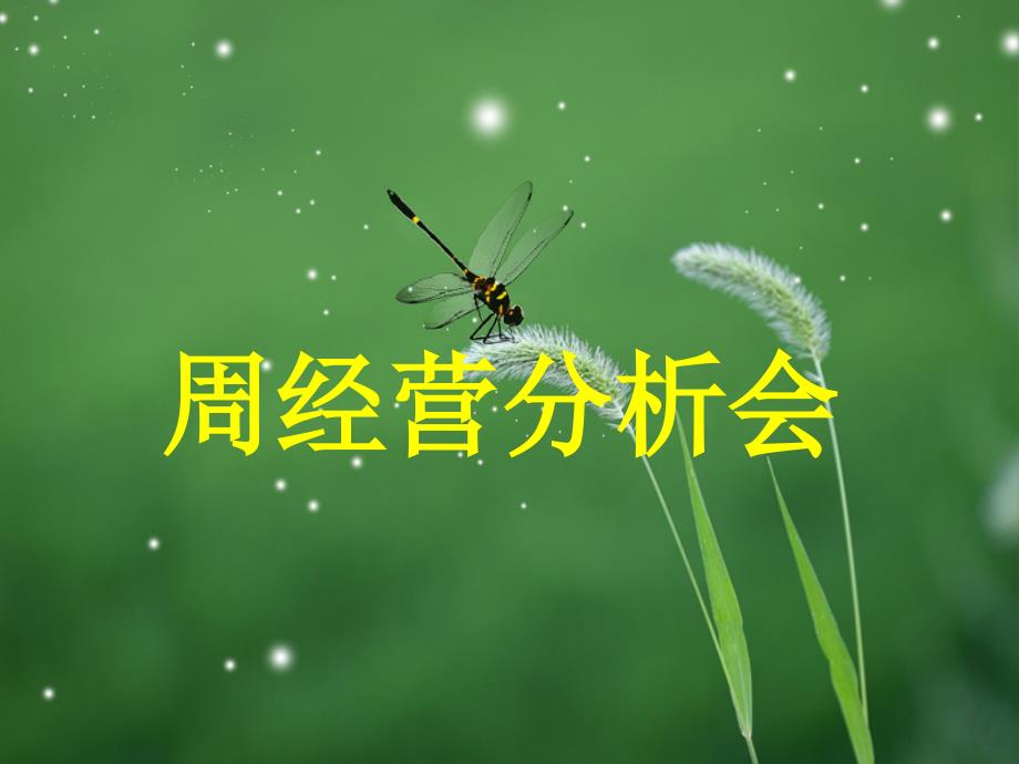 保险公司周经营分析会实际操作流程PPT模板课件演示文档幻灯片资料_第1页
