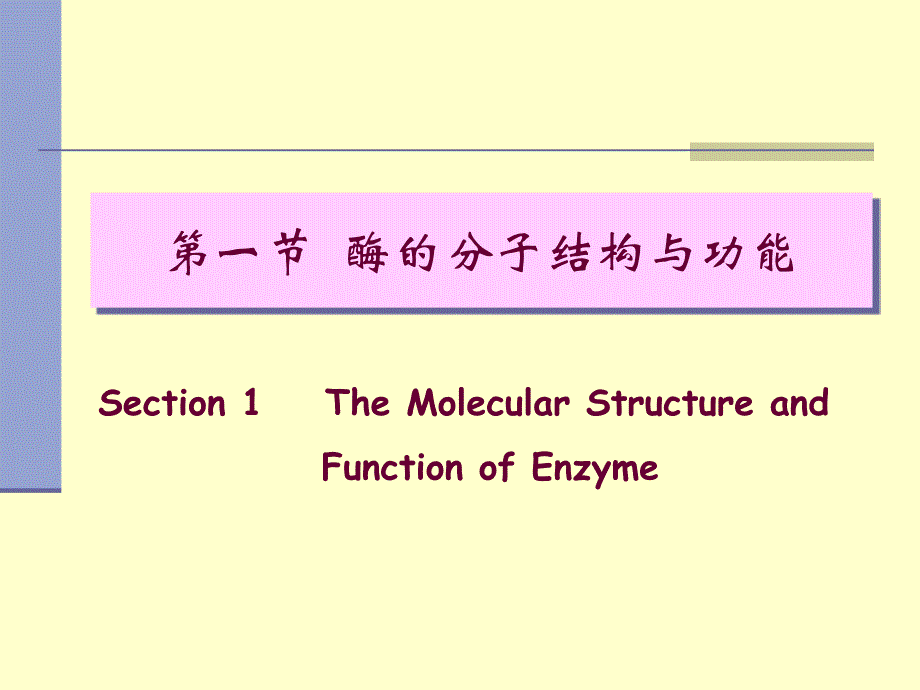 生物化学：第四章 酶化学_第2页