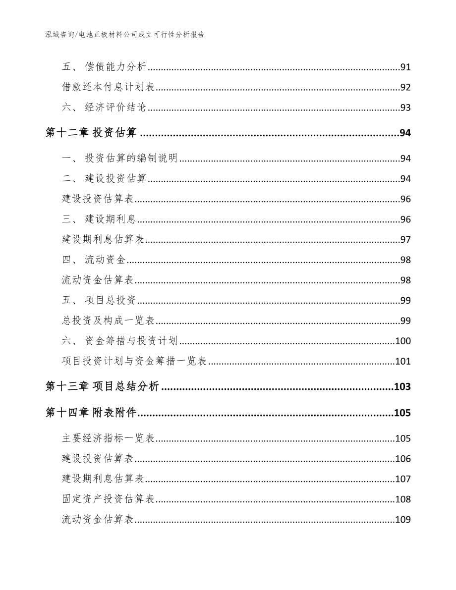 电池正极材料公司成立可行性分析报告_模板_第5页