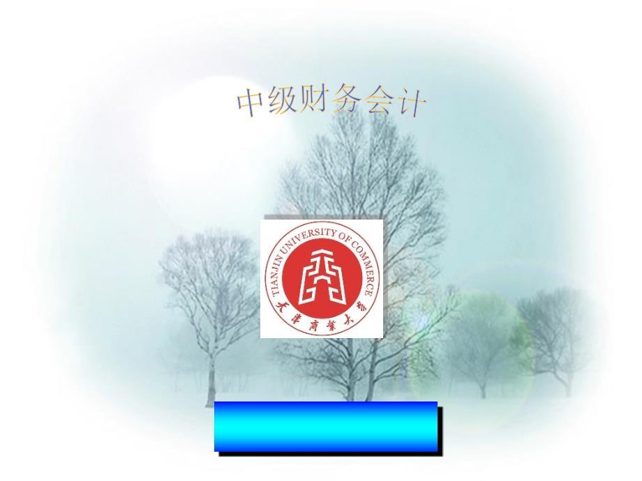 财务会计概述