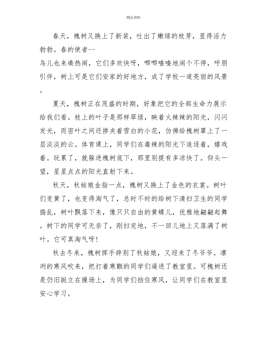 六年级槐树观察日记600字_第3页