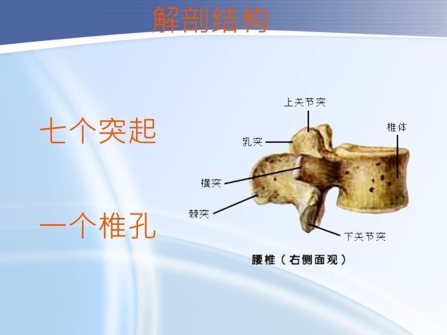 腰椎骨折术后的护理查房ppt_第5页