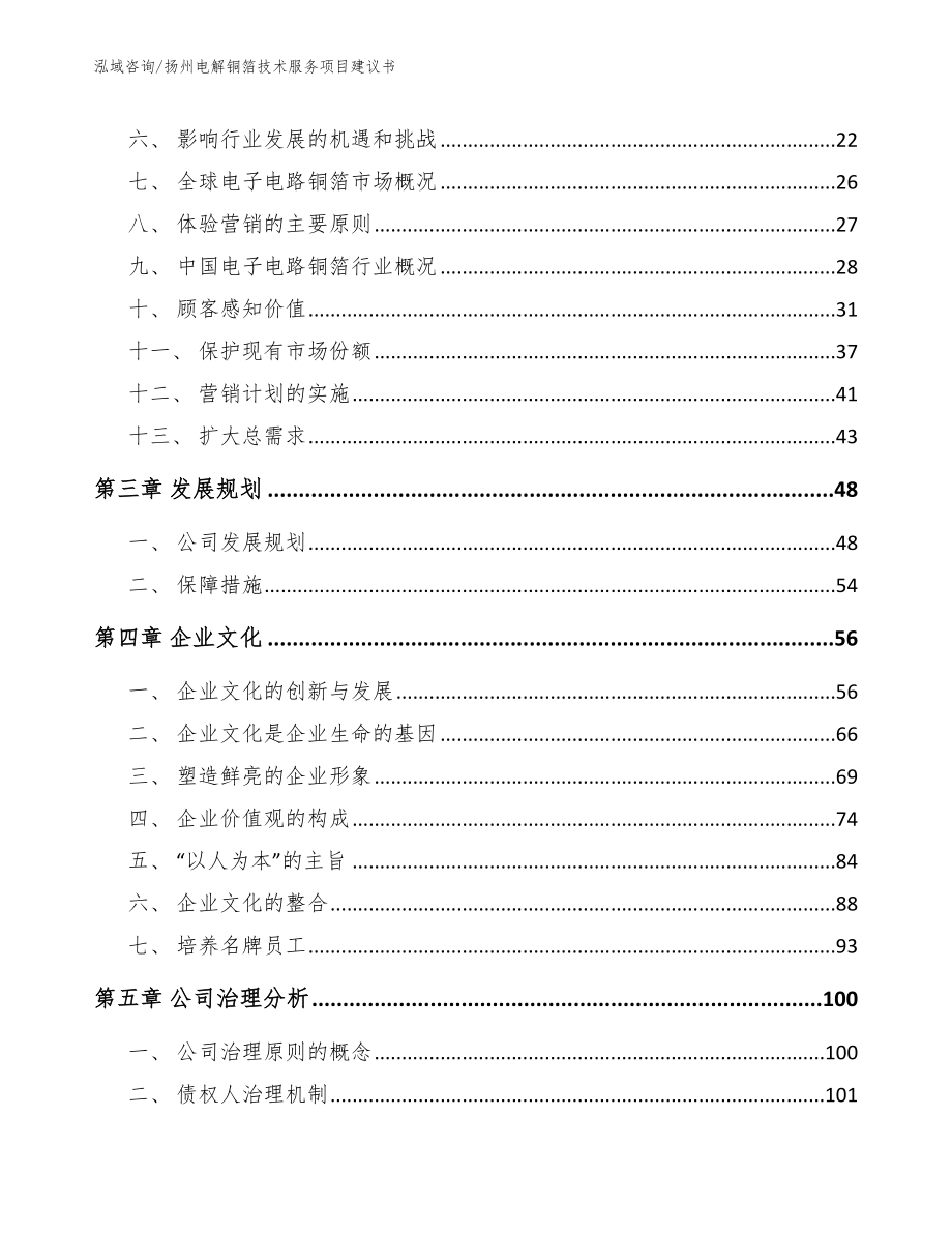 扬州电解铜箔技术服务项目建议书【模板范本】_第4页