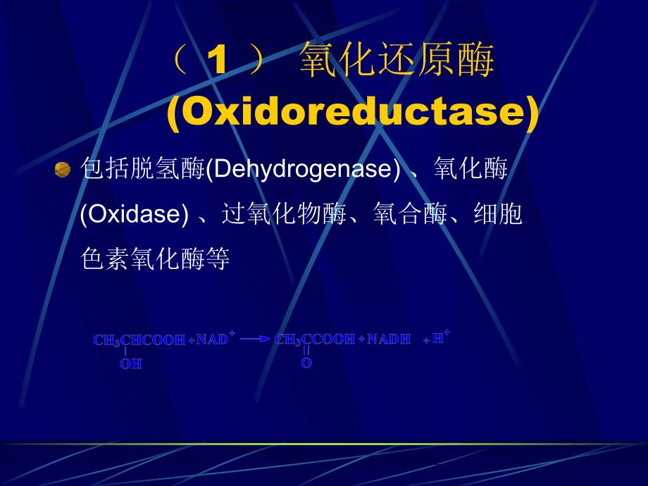 农学]第二节酶学与酶工程_第4页