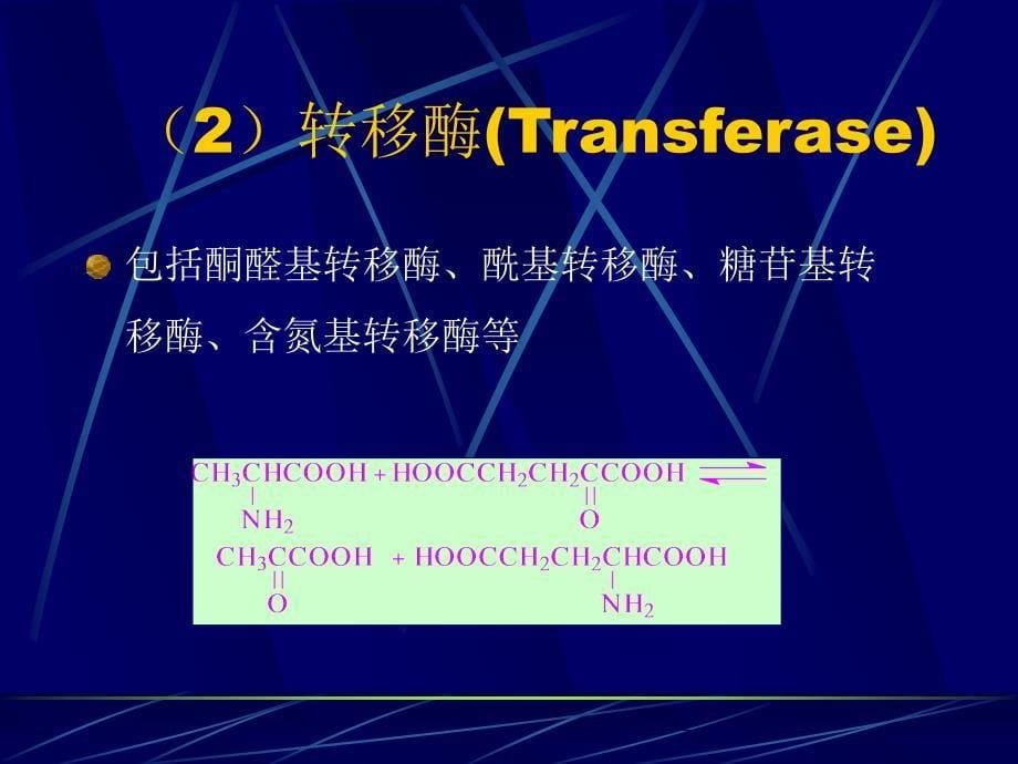 农学]第二节酶学与酶工程_第5页