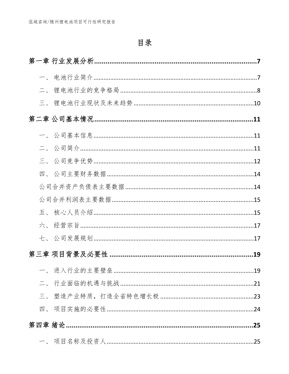 随州锂电池项目可行性研究报告模板参考_第2页