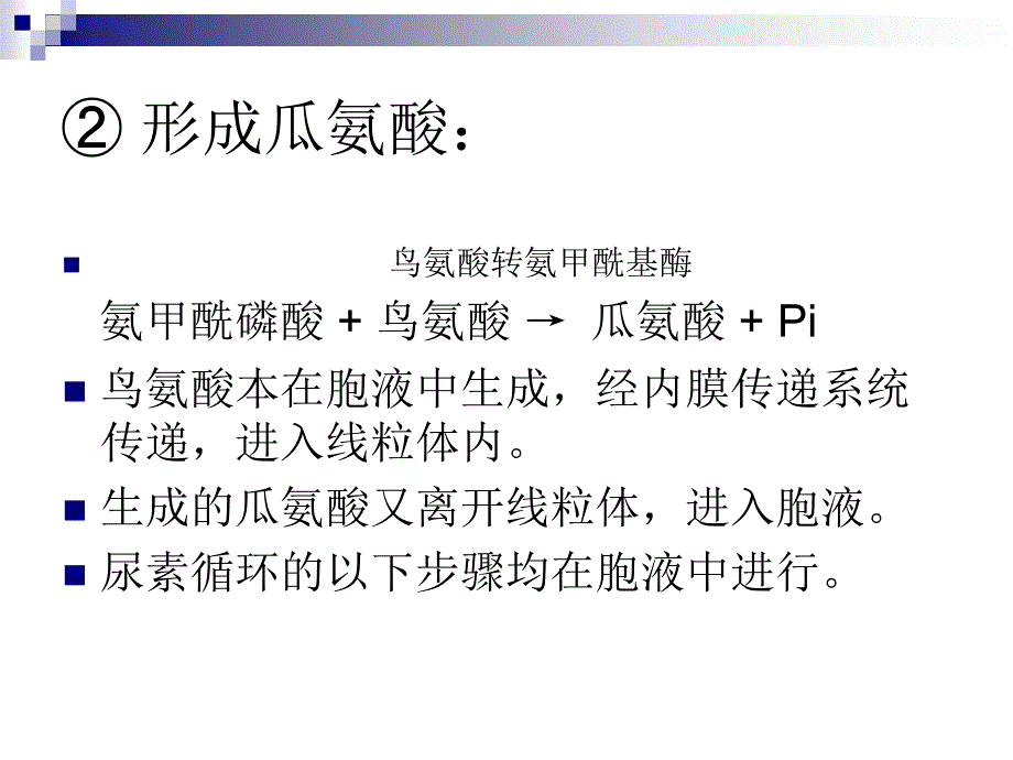 蛋白质、氨基酸代谢_第4页