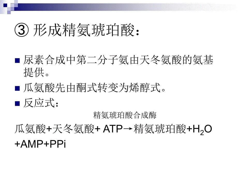 蛋白质、氨基酸代谢_第5页