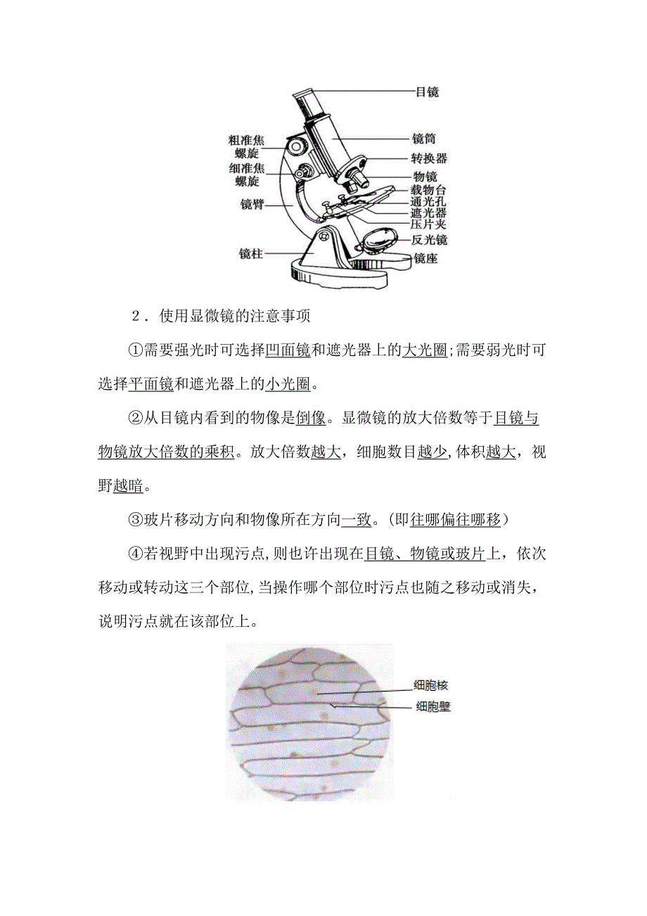 2023年人教版生物中考知识点复习专题二生物体的结构层次_第2页