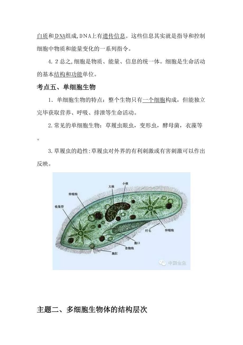 2023年人教版生物中考知识点复习专题二生物体的结构层次_第5页