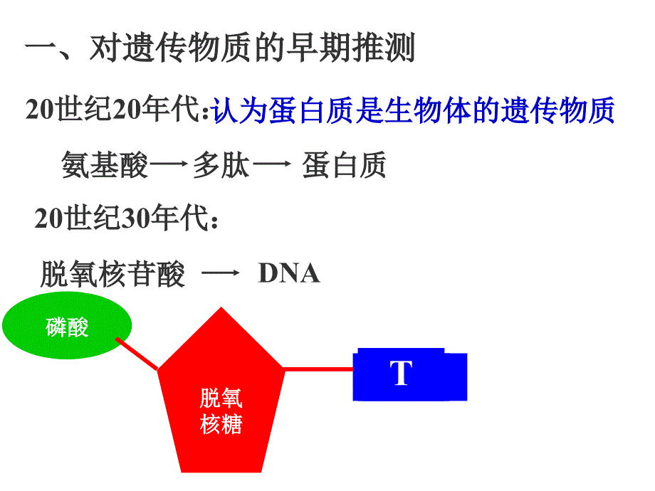 三章基因的本质_第3页