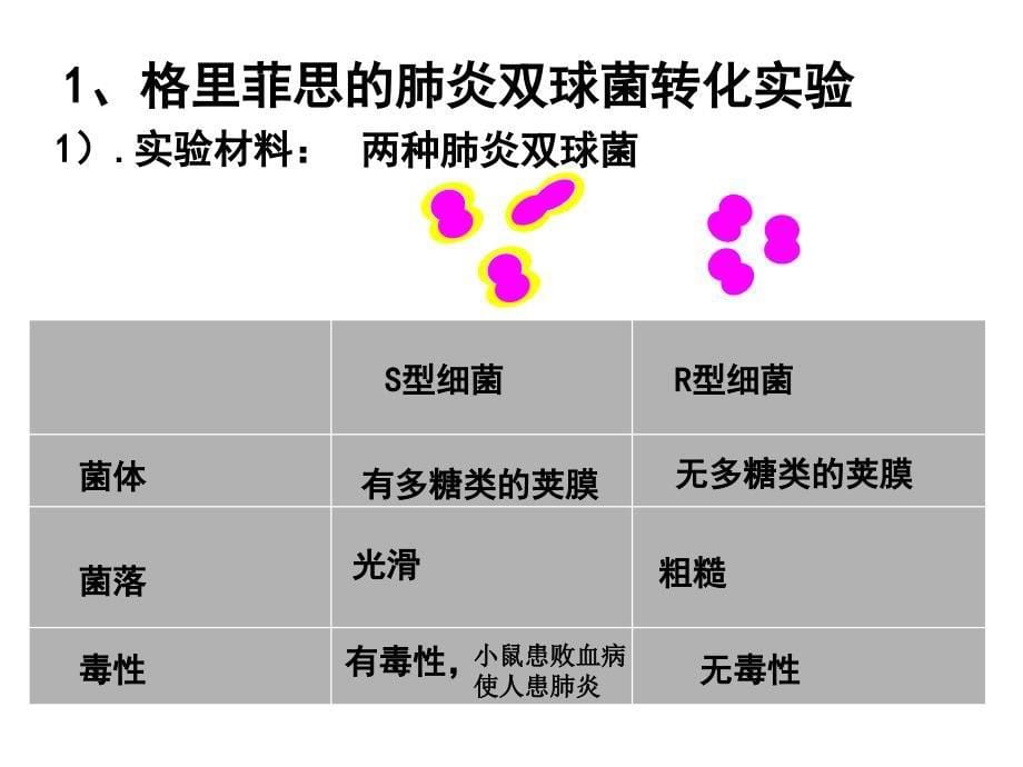 三章基因的本质_第5页