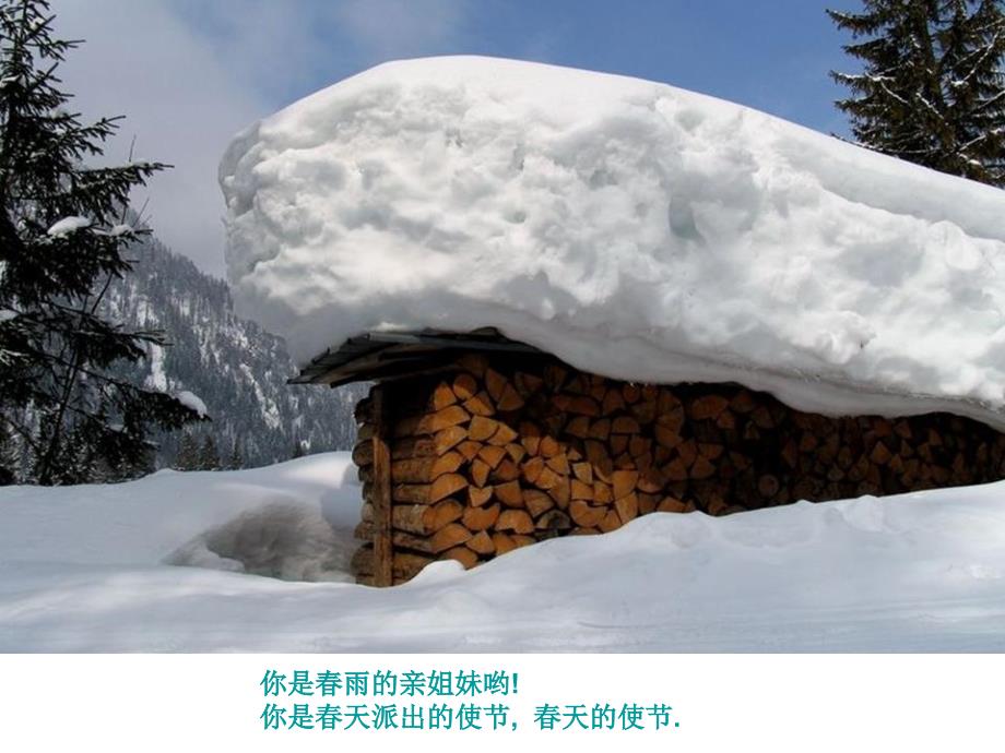 人教版音乐八年级上册我爱你塞北的雪_第3页