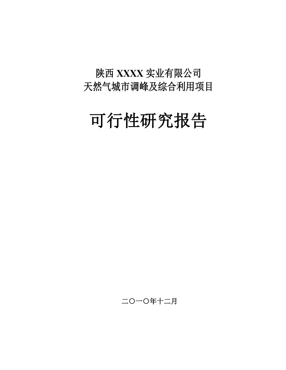 天然气城市调峰及综合利用项目可行性分析报告.doc_第1页