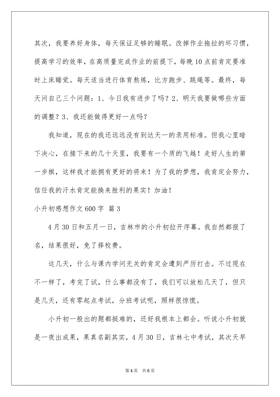 2023年小升初感想作文600字范文.docx_第4页