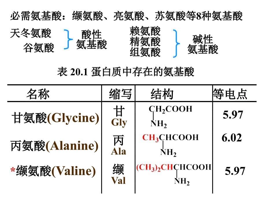 chapter21 氨基酸、蛋白质与核酸_第5页