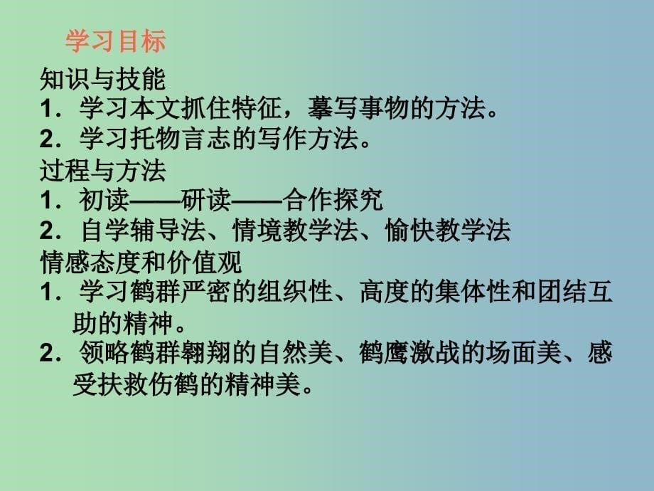 六年级语文下册 26《鹤群翔空》课件 鲁教版五四制_第5页