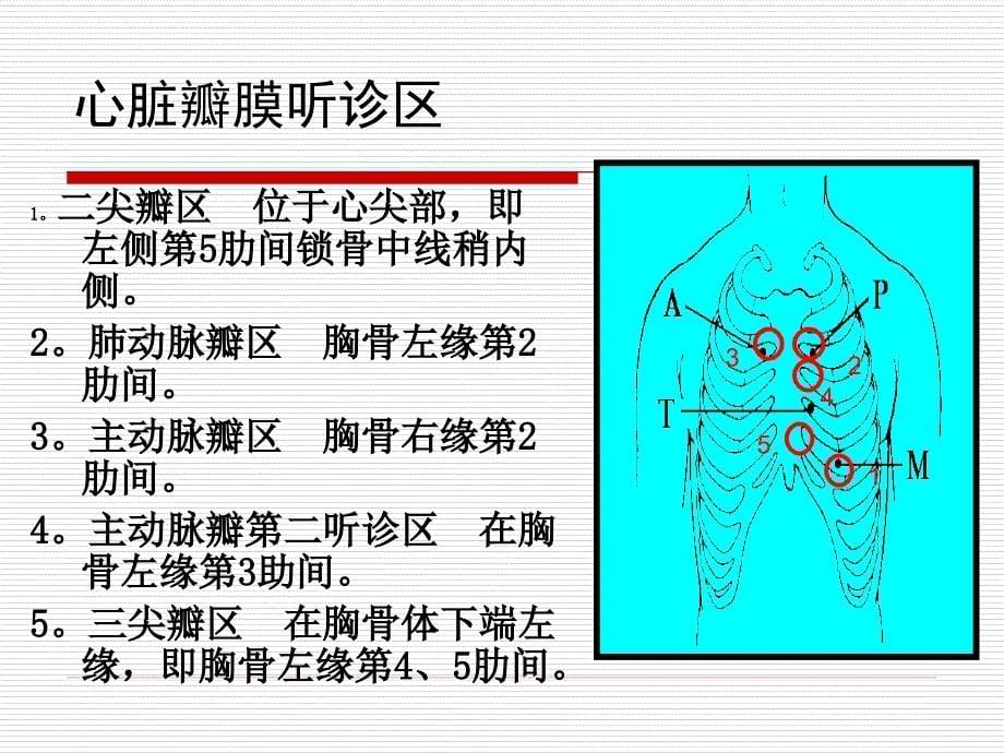 心脏听诊检查_第5页