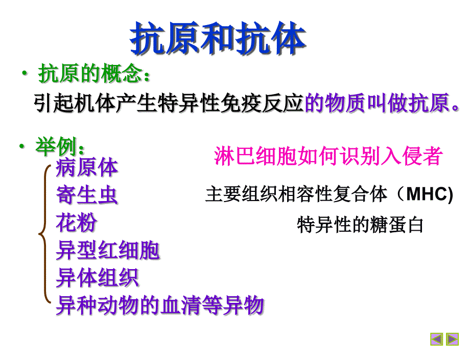 细胞免疫与体液免疫.ppt_第2页