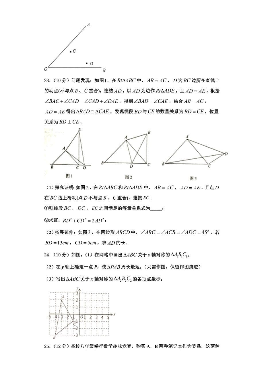 2023学年江苏省南京师范江宁分校数学八上期末学业质量监测试题含解析.doc_第5页