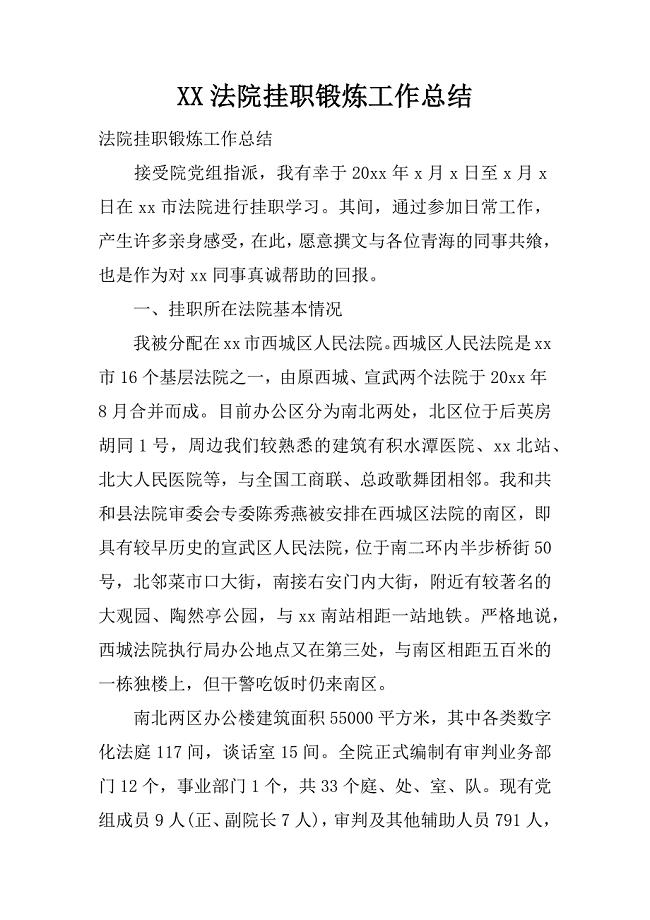 xx法院挂职锻炼工作总结.docx