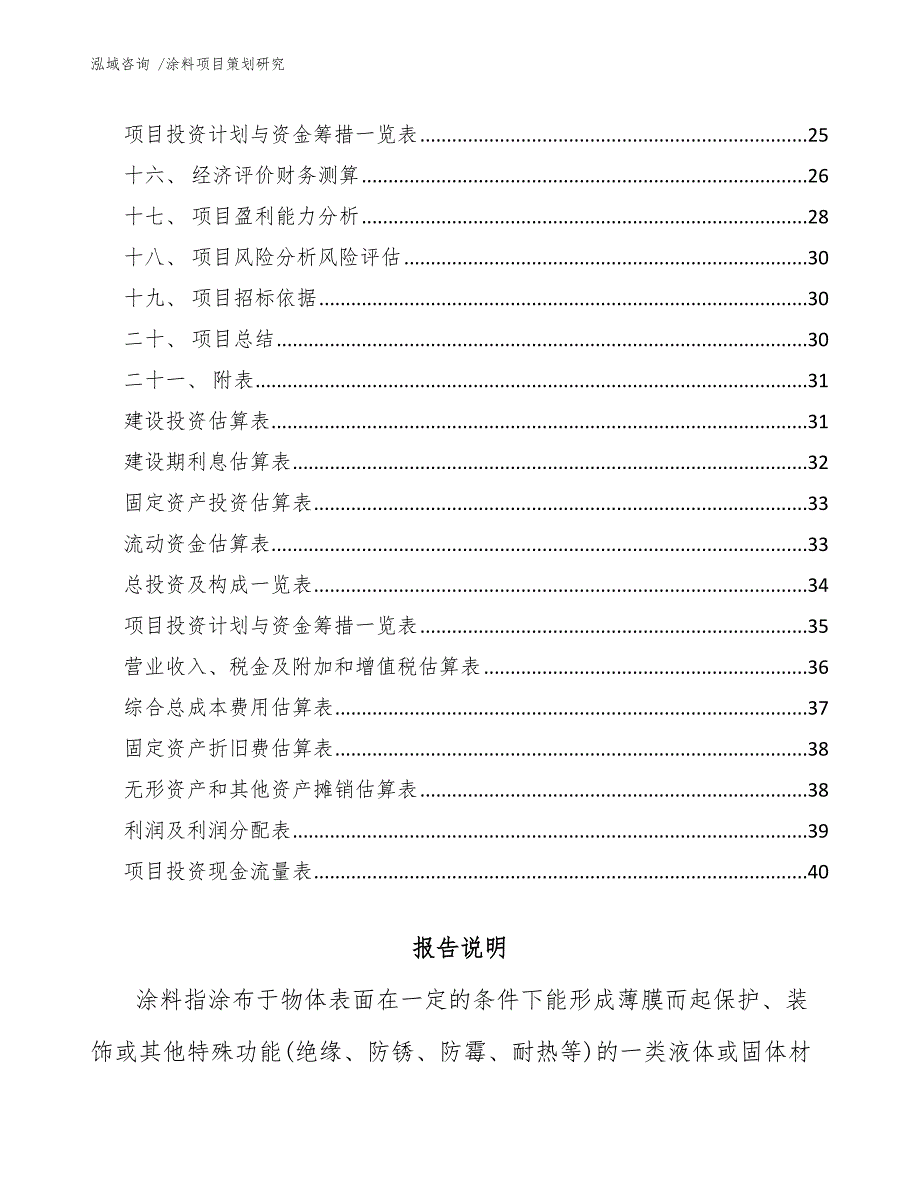 涂料项目策划研究（模板范文）_第2页