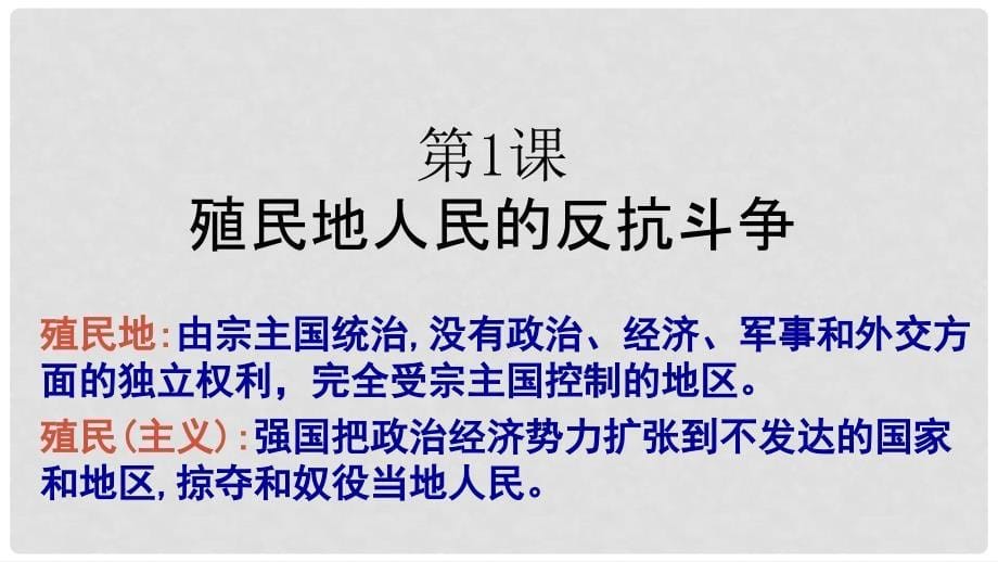 九年级历史下册 第1单元 殖民地人民的反抗与资本主义制度的扩展 第1课 殖民地人民的反抗斗争课件2 新人教版_第5页