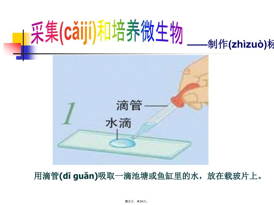 《用显微镜观察身边的生命世界(三)》复习进程_第3页