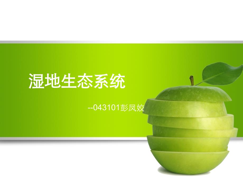 湿地生态系统_第1页