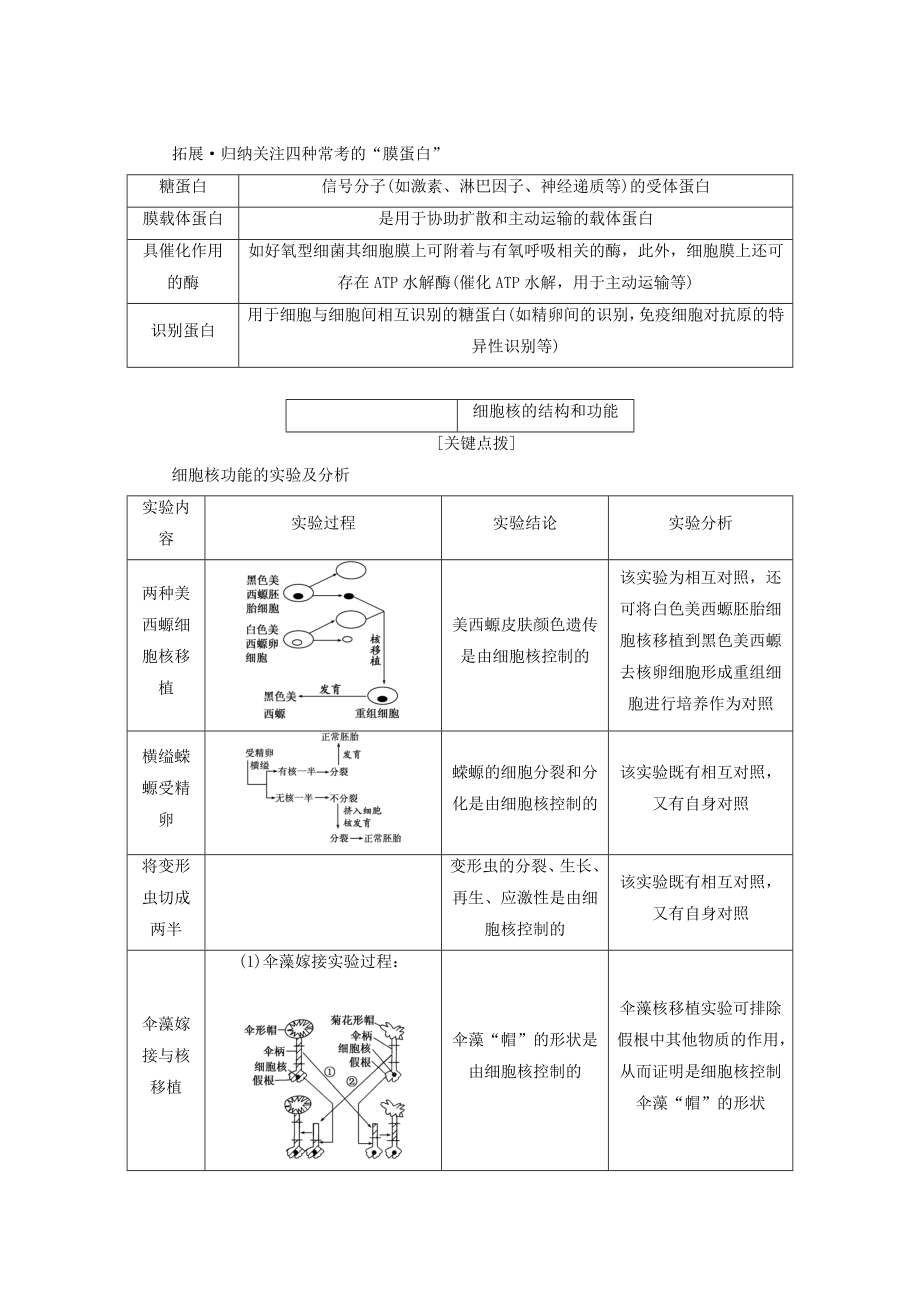 （江苏专版）2022年高考生物一轮复习 第一部分 分子与细胞 第二单元 细胞的结构与物质的输入与输出学案_第4页