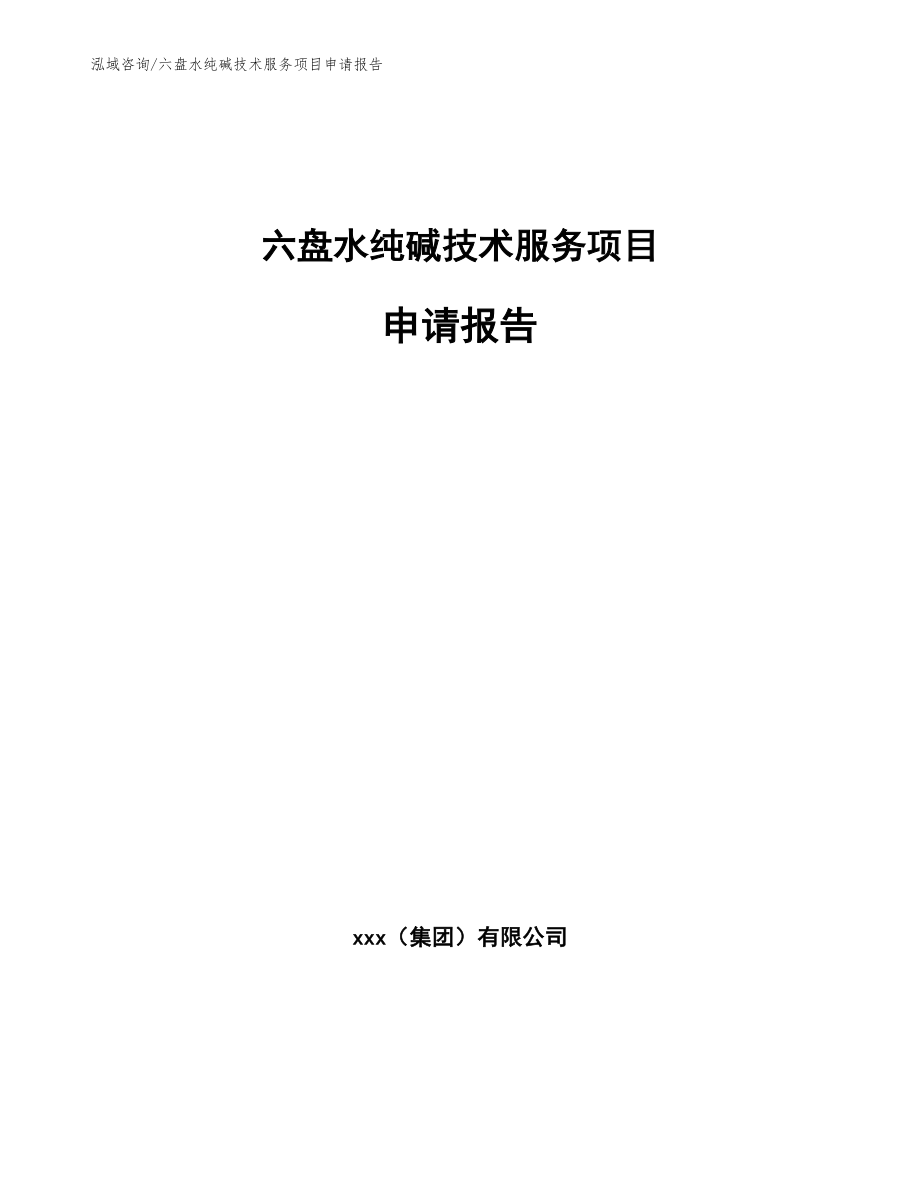 六盘水纯碱技术服务项目申请报告_第1页