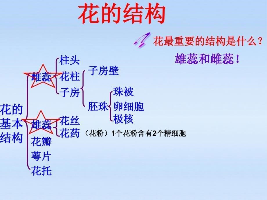 七年级生物上第三单元第三节开花和结果_第5页