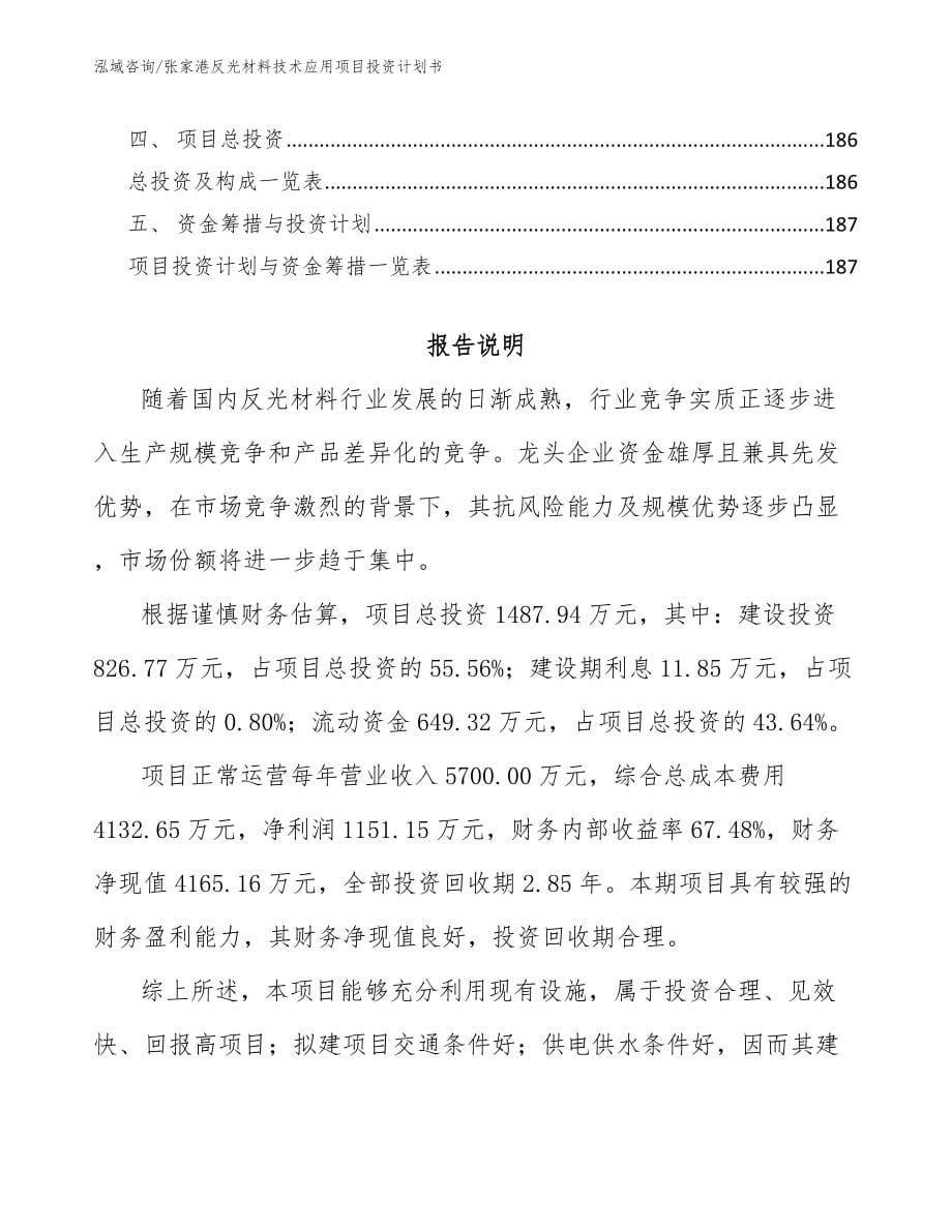 张家港反光材料技术应用项目投资计划书_第5页