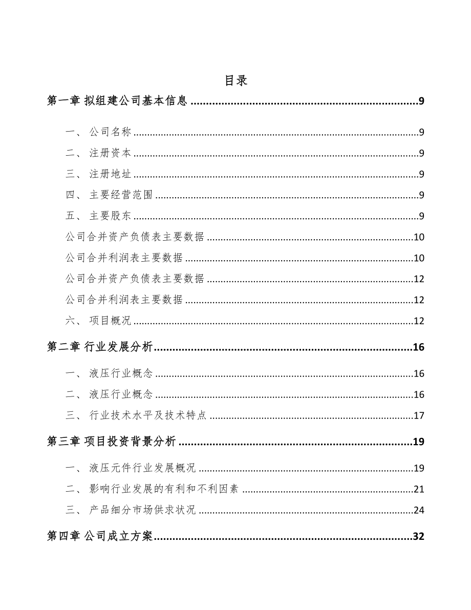 郑州关于成立液压油缸公司可行性研究报告(DOC 88页)_第2页