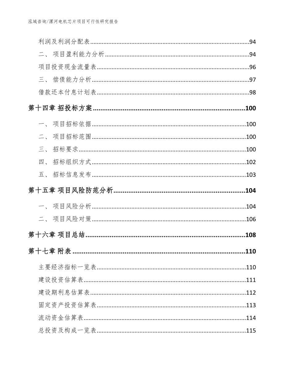 漯河电机芯片项目可行性研究报告_第5页