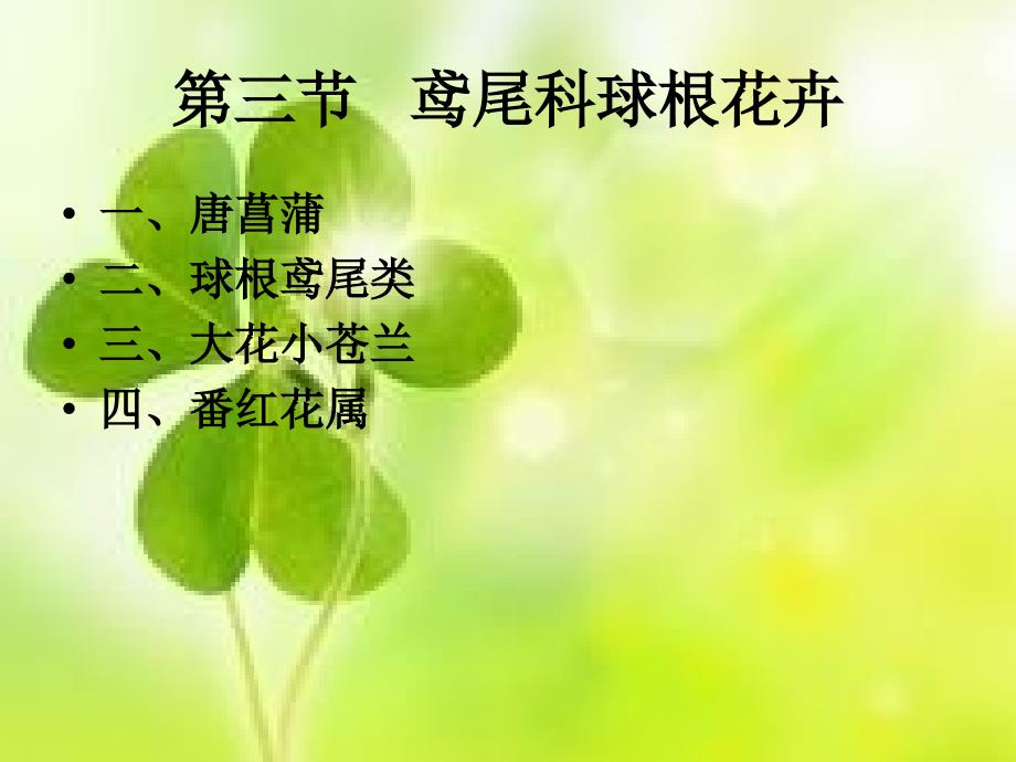 《农学杨坤花卉》PPT课件.ppt_第1页