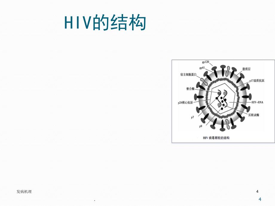 艾滋病诊治ppt演示课件_第4页