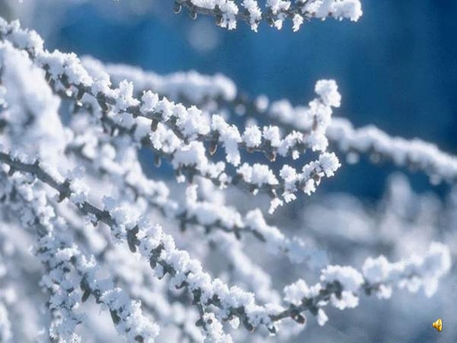 【小学语文】小学语文一年级上册课件《雪地里的小画家 》_第1页