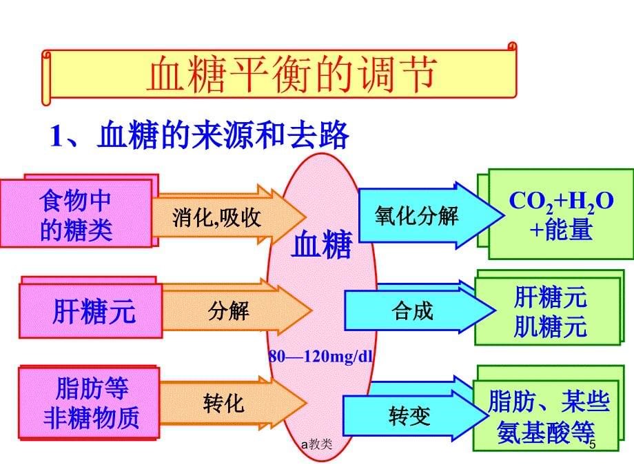 血糖平衡与调节PPT【A类基础】_第5页