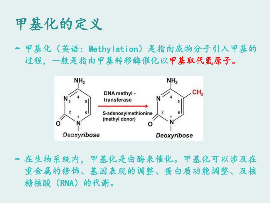 组蛋白的修饰[共21页]_第3页