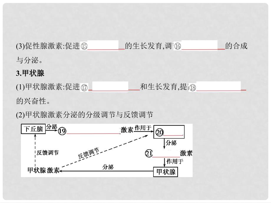 高考生物一轮复习 专题19 体液调节以及与神经调节的关系课件_第4页