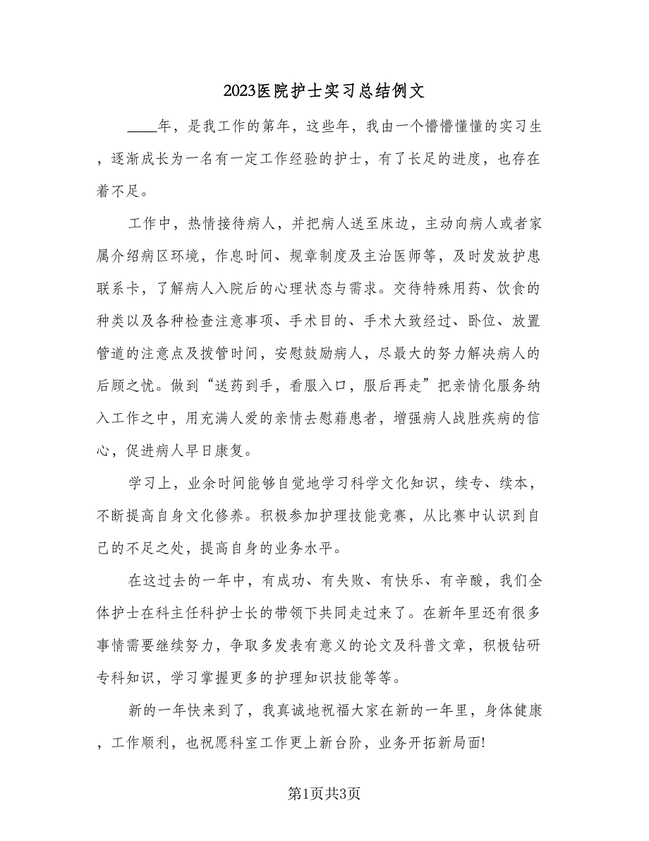 2023医院护士实习总结例文（二篇）.doc_第1页