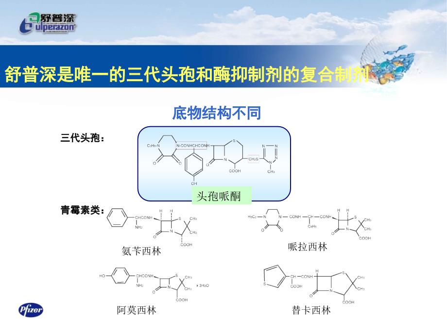 DA舒普深酶抑制剂复合制剂的经典与特治星比较_第2页